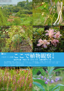  ここで植物観察会2020年8月番外編（PDF)